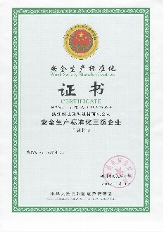 安全生產(chǎn)標準化
